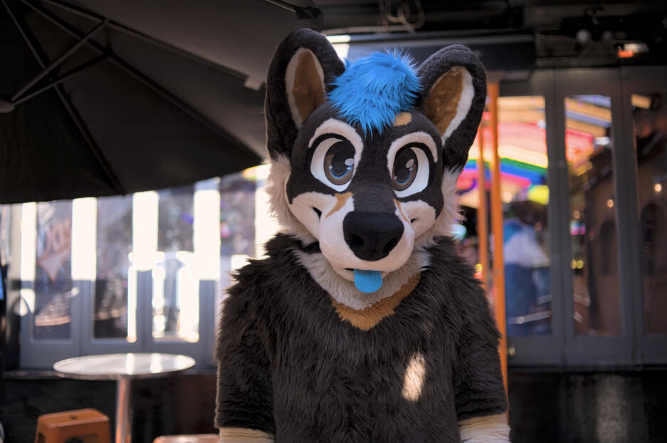 Connor Shibe at DC Furmeet, September 2025