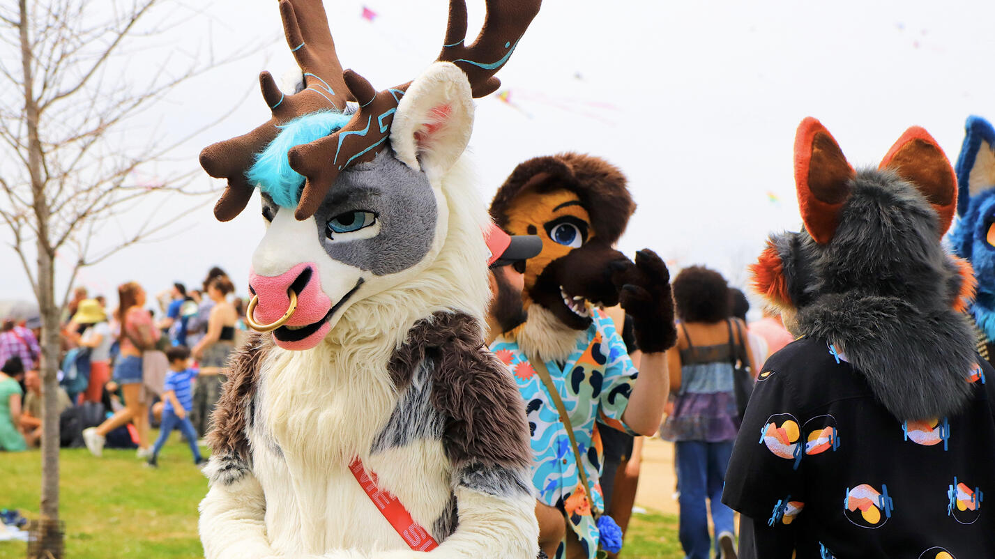 Rorek at DC Cherry Blossom Festival 2025