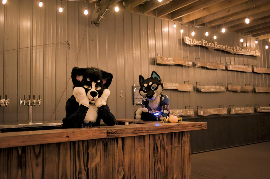 Tone and Flint at Elder Pine, December 2025