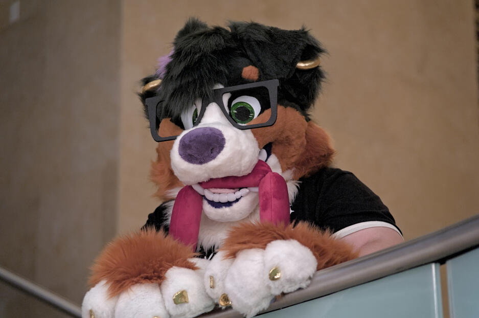 Aimie at Megaplex 2025