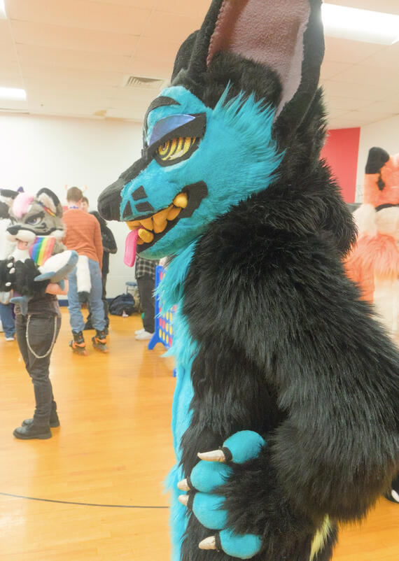 Cyber at Furskate