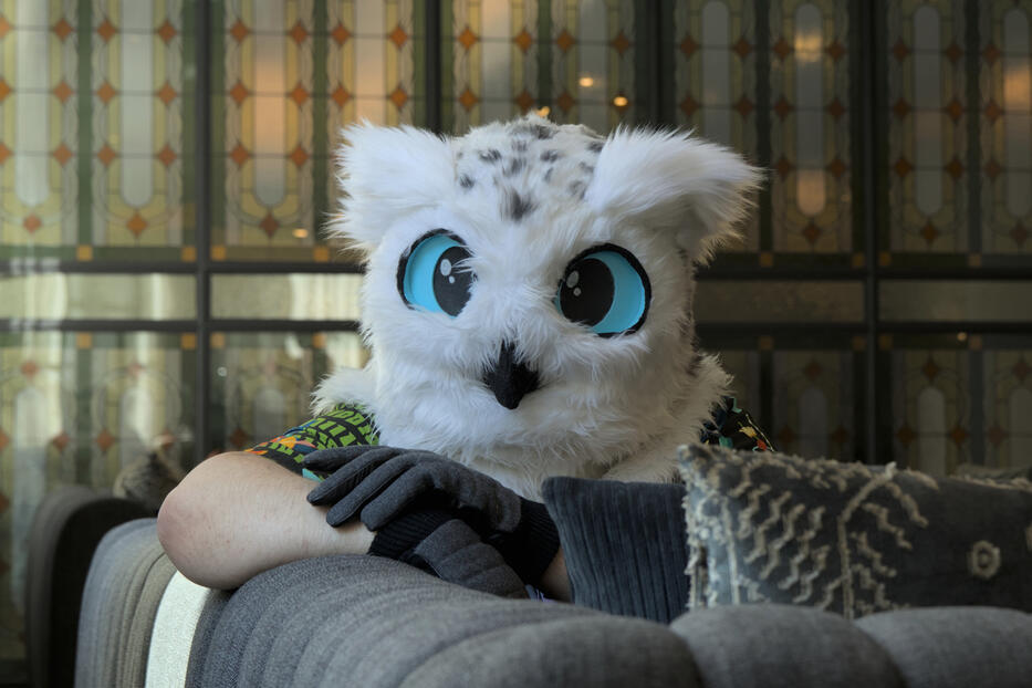 Capricious at Furthemore 2026